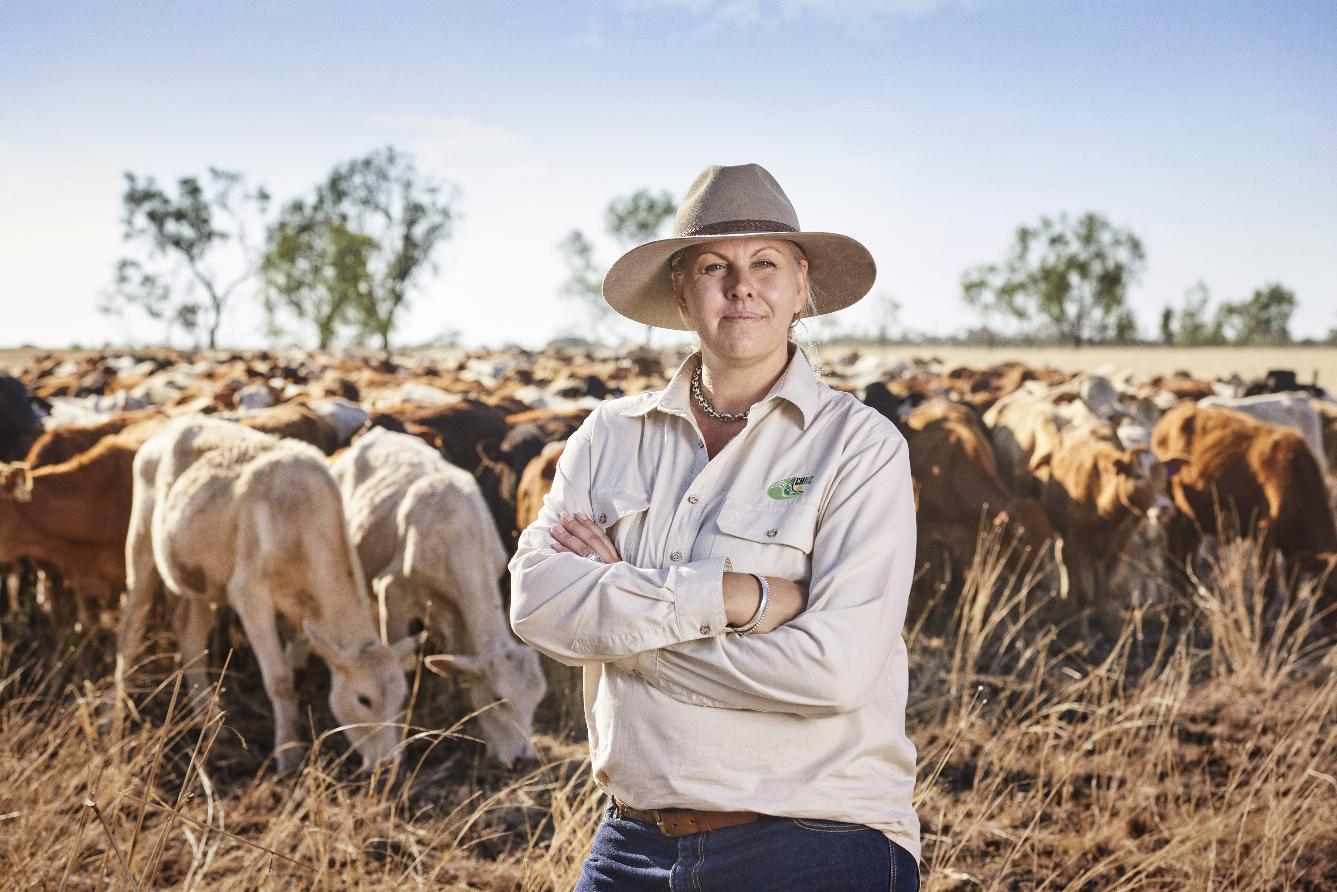 Michelle Doughty Cattle livestock 2 Central Highlands