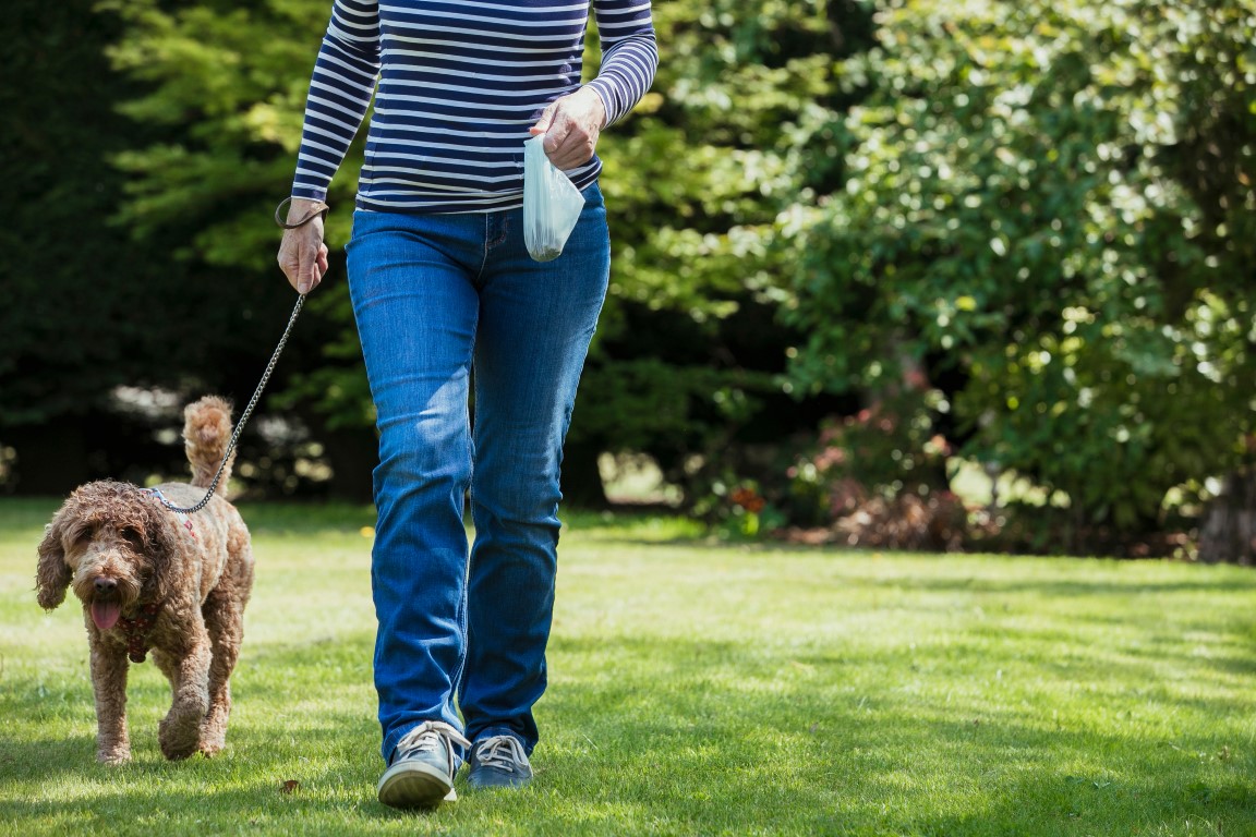 should dogs be kept on a lead in public places